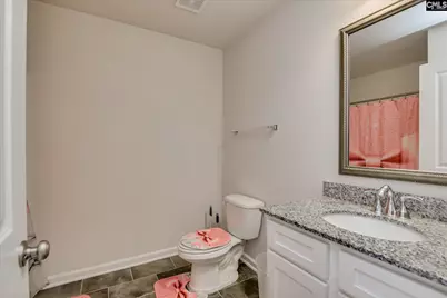 621 Rustic Cabin Lane, Gaston, SC 29053 - Photo 14