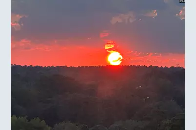 165 Lake Murray Terrace, Lexington, SC 29072 - Photo 8