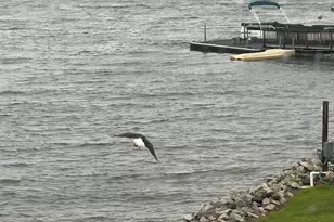 165 Lake Murray Terrace, Lexington, SC 29072 - Photo 10