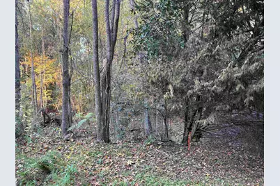 0 Weeping Cherry Lane, Columbia, SC 29212 - Photo 2