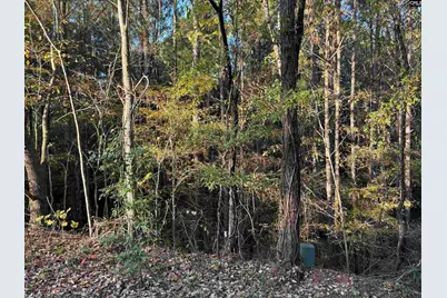 0 Weeping Cherry Lane, Columbia, SC 29212 - Photo 6