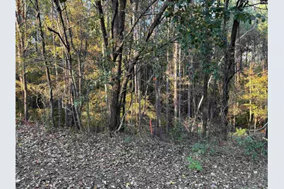 0 Weeping Cherry Lane, Columbia, SC 29212 - Photo 4