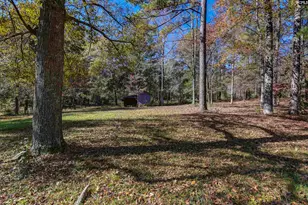 1155 Russ Brown Rd, Blythewood, SC 29016 - Photo 54
