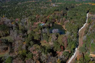 1155 Russ Brown Rd, Blythewood, SC 29016 - Photo 68