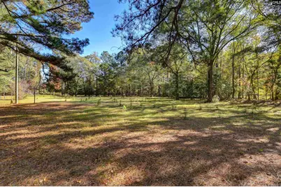 1155 Russ Brown Road, Blythewood, SC 29016 - Photo 56