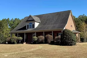 142 Sturkie St, Cope, SC 29038 - Photo 2