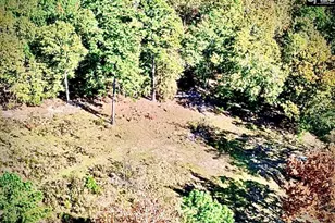 1435 Community Pond Rd, Eastover, SC 29044 - Photo 4