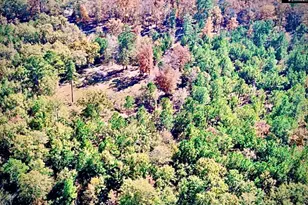 1435 Community Pond Rd, Eastover, SC 29044 - Photo 6