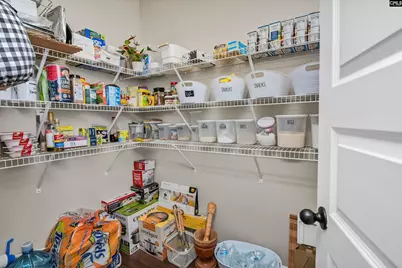 1055 Grey Duck Lane, Blythewood, SC 29016 - Photo 22