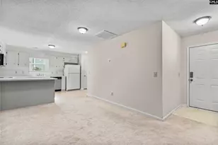 241 Friarsgate Blvd, Irmo, SC 29063 - Photo 8