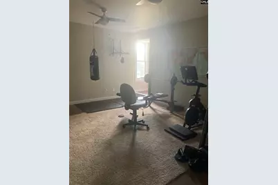 113 Montauk Drive, Lexington, SC 29072 - Photo 20