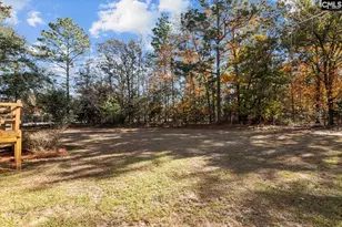 4303 Fish Hatchery Rd, Gaston, SC 29053 - Photo 32