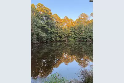 2 Hwy 76, Newberry, SC 29108 - Photo 4