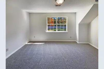 102 Brassfield Court, Irmo, SC 29063 - Photo 26