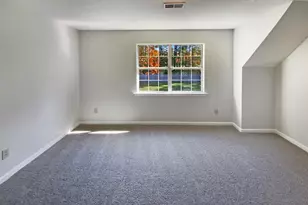 102 Brassfield Ct, Irmo, SC 29063 - Photo 26