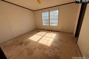 164 Griffins Creek Rd, Gadsden, SC 29052 - Photo 14