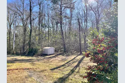 1207 Kennerly Road, Irmo, SC 29063 - Photo 46