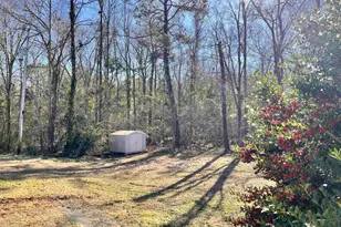 1207 Kennerly Rd, Irmo, SC 29063 - Photo 46