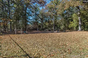 308 Day Dr, Swansea, SC 29160 - Photo 32