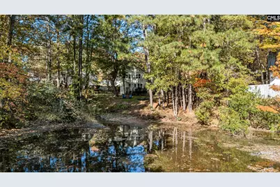 125 W Sparrowood Run, Lexington, SC 29072 - Photo 36