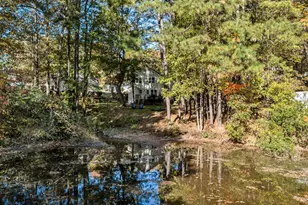 125 W Sparrowood Run, Lexington, SC 29072 - Photo 36