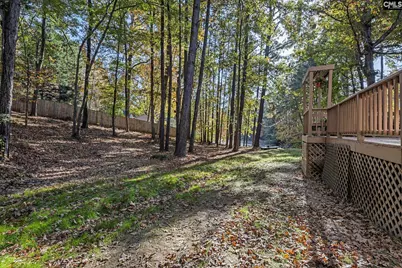 125 W Sparrowood Run, Lexington, SC 29072 - Photo 40