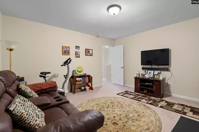 204 Saints Creek Lane, Irmo, SC 29063 - Photo 20