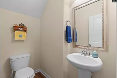 204 Saints Creek Lane, Irmo, SC 29063 - Photo 18