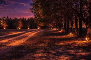 752 Waterspring Rd, Orangeburg, SC 29115 - Photo 4