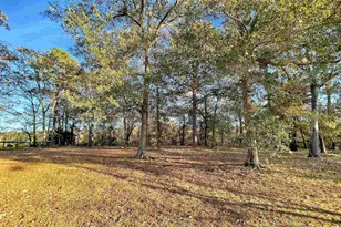 606 Shadow Lane Rd, Wagener, SC 29164 - Photo 36