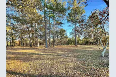 606 Shadow Lane Road, Wagener, SC 29164 - Photo 38