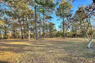 606 Shadow Lane Rd, Wagener, SC 29164 - Photo 38