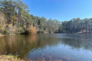 92 N Lake Pointe Dr, Columbia, SC 29229 - Photo 22