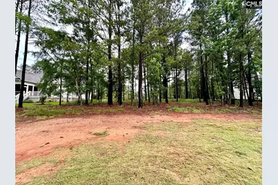 513 Misty Banks Drive #Lot 3, Chapin, SC 29036 - Photo 1