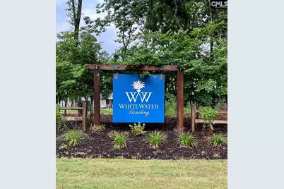 513 Misty Banks Drive #Lot 3, Chapin, SC 29036 - Photo 8