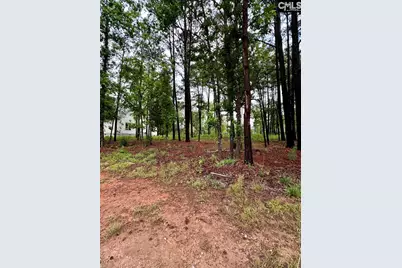 513 Misty Banks Drive #Lot 3, Chapin, SC 29036 - Photo 2