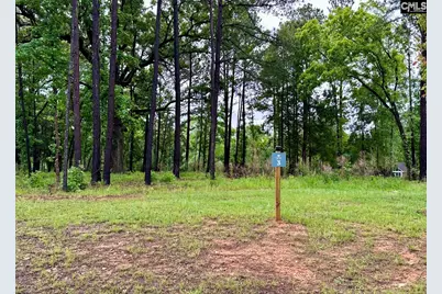 513 Misty Banks Drive #Lot 3, Chapin, SC 29036 - Photo 12