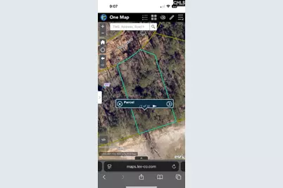 513 Misty Banks Drive #Lot 3, Chapin, SC 29036 - Photo 18