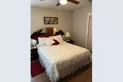 1411 E Harrison Ext Street, Dillon, SC 29536 - Photo 34