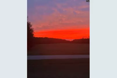 2628 Rembert Church Road, Dalzell, SC 29020 - Photo 2