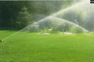 2013 Allan Crest Rd, Blythewood, SC 29016 - Photo 38