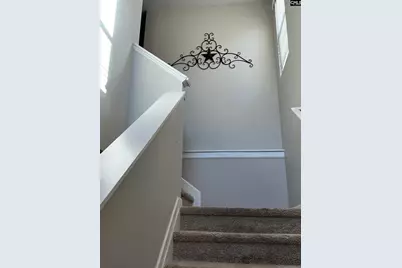 228 Bickley View Court, Chapin, SC 29036 - Photo 20