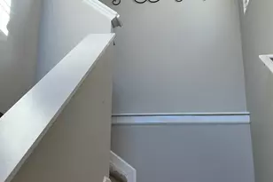 228 Bickley View Ct, Chapin, SC 29036 - Photo 20