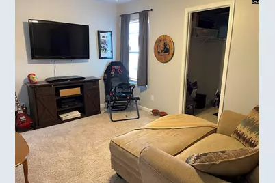 228 Bickley View Court, Chapin, SC 29036 - Photo 36