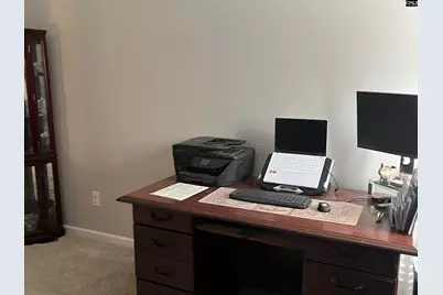 228 Bickley View Court, Chapin, SC 29036 - Photo 16