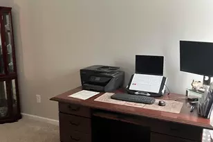 228 Bickley View Ct, Chapin, SC 29036 - Photo 16