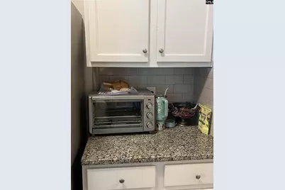 228 Bickley View Court, Chapin, SC 29036 - Photo 12