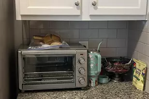 228 Bickley View Ct, Chapin, SC 29036 - Photo 12