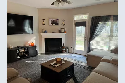 228 Bickley View Court, Chapin, SC 29036 - Photo 14