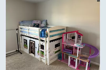 228 Bickley View Court, Chapin, SC 29036 - Photo 34